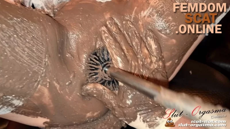 SlutOrgasma – shit cunt fucked by a toilet brush [shit scat poop shitting]