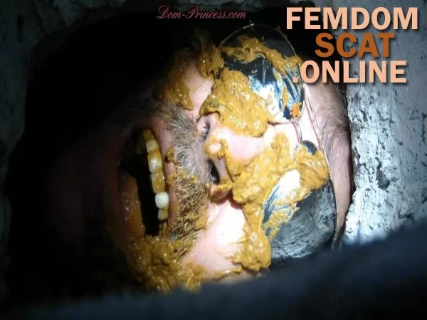 Scat Princess Toilet Slavery - Now you are officially a Toilet Part 3 Sharlene [extreme femdom sc...