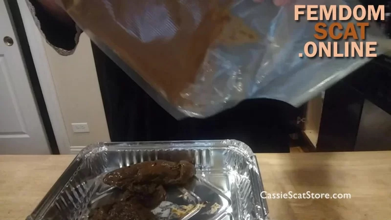 CassieScat – 1 Firm+1 Mushy Poo+Chocolate=Your Dessert