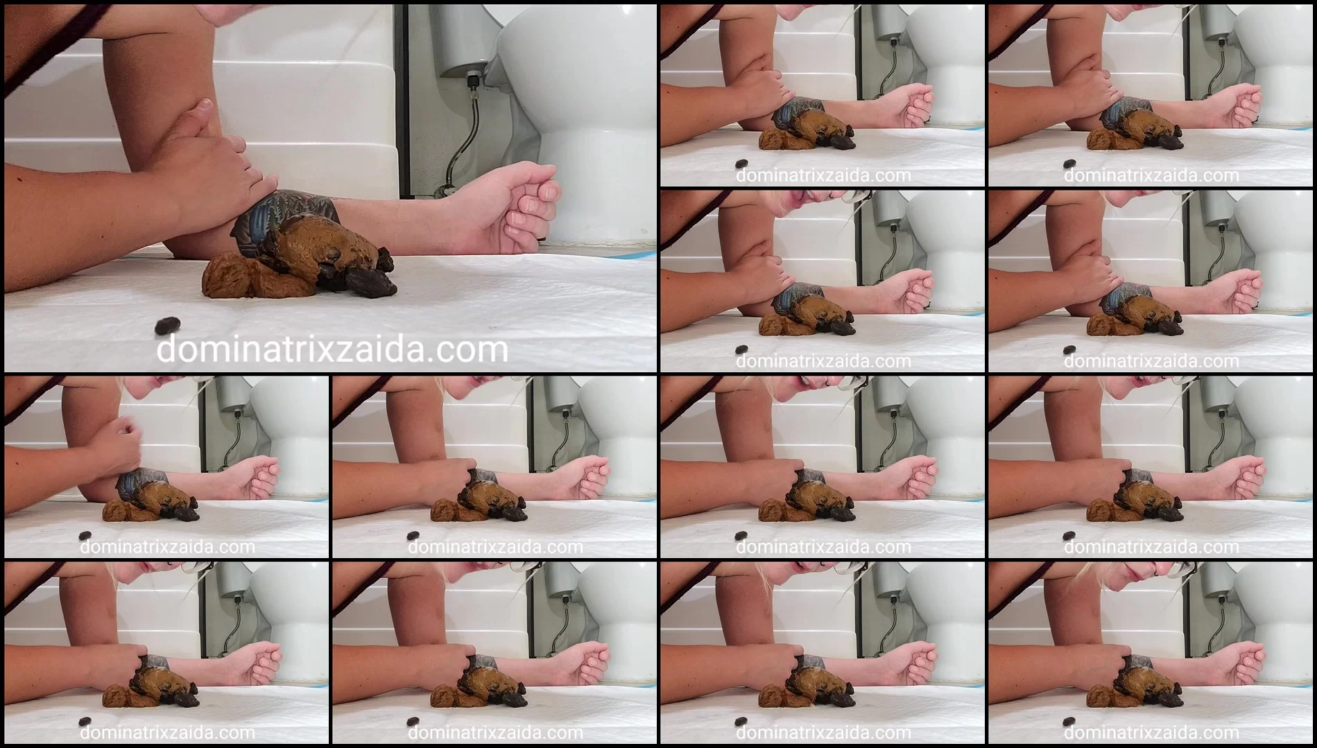 Mistress Zaida – You're just a fucking toilet