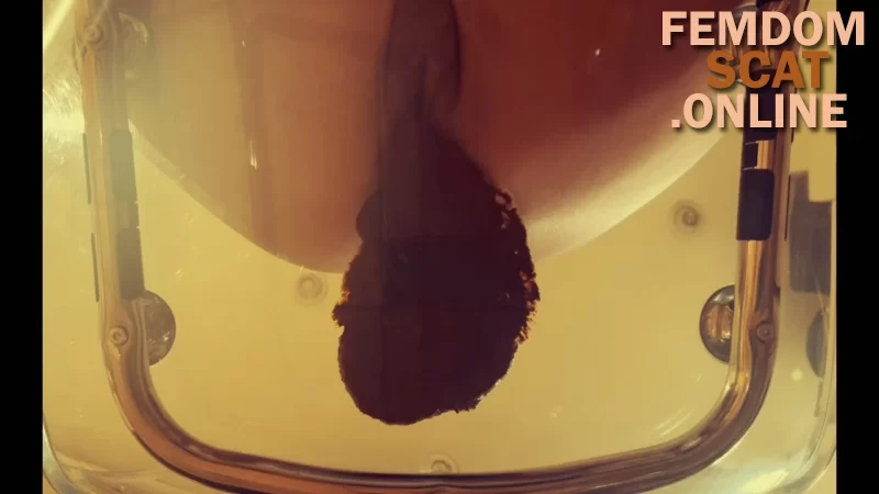 Arisdark – Poop in transparent chair